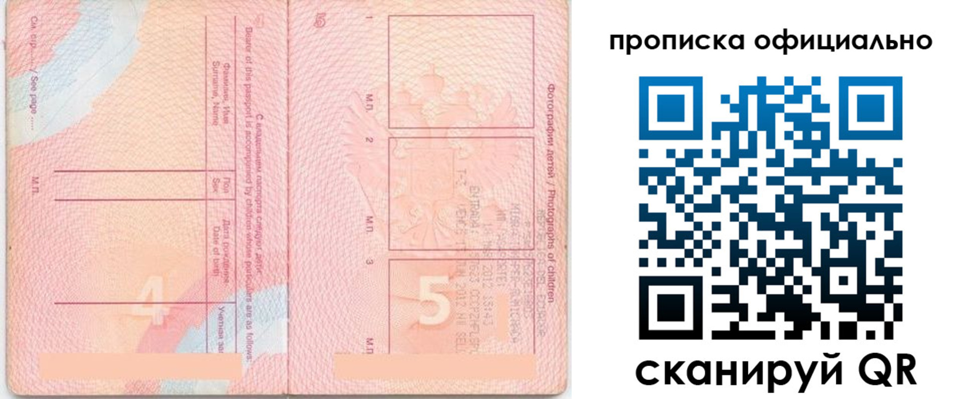 прописка для школы в Полярных Зорях